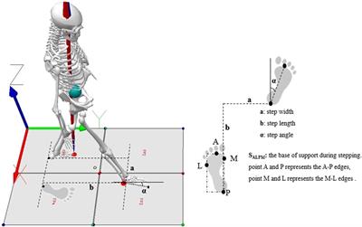 Effects of sedentary behaviour and long-term regular Tai Chi exercise on dynamic stability control during gait initiation in older women